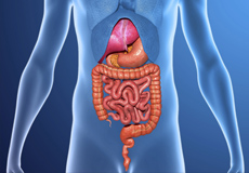 Prevention of Gastrointestinal Diseases